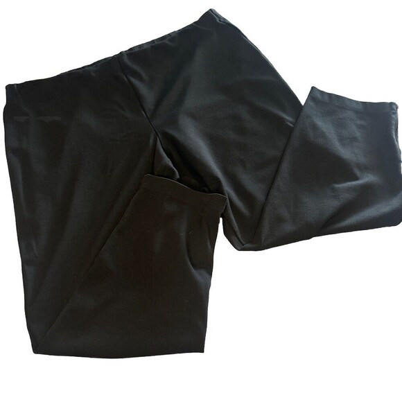 Eileen Fisher Woman BLACK Rayon Blend Tapered Pants W/ Side Zippers At Bottom 3X - Picture 2 of 9